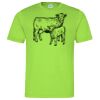 Cool T Sports Shirt Thumbnail